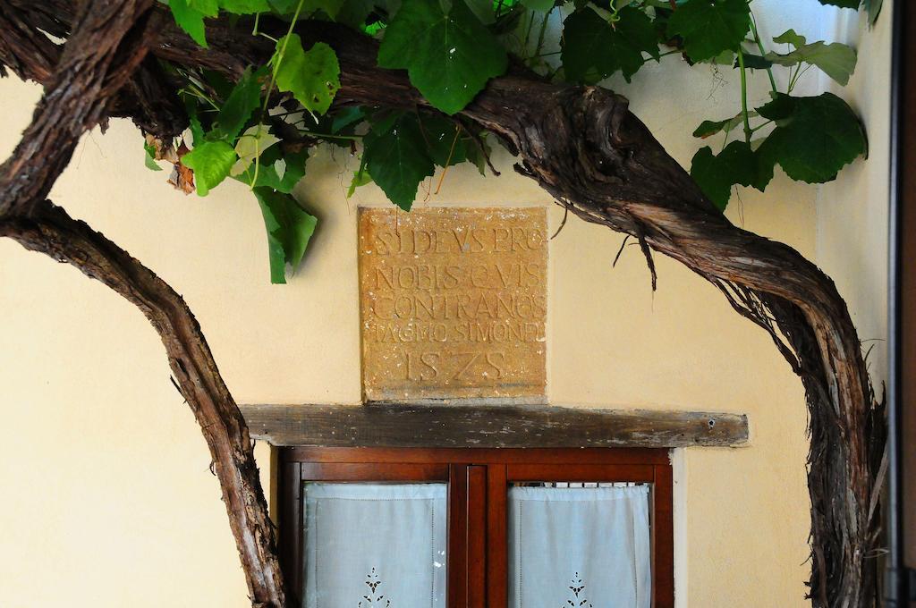 B&B Camere La Vite Pienza Kültér fotó