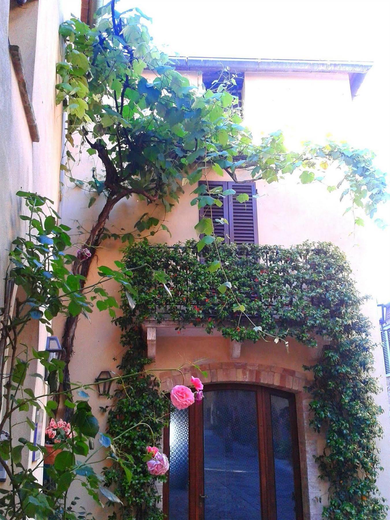 B&B Camere La Vite Pienza Kültér fotó
